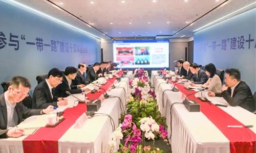浙商参与“一带一路”建设10周年座谈会召开，陈蕾董事长受邀参会并作主题发言