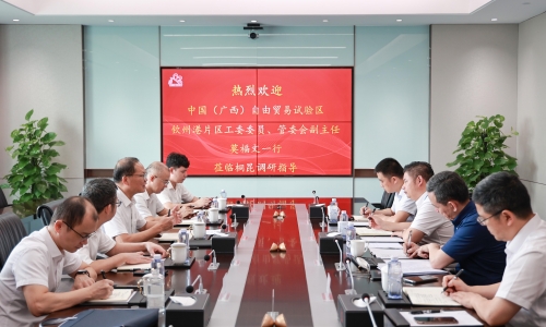 中国（广西）自由贸易试验区钦州港片区管理委员会副主任、党工委委员莫福文莅临尊龙凯时调研