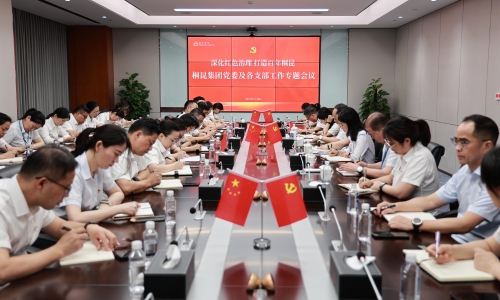 深化红色治理 打造百年尊龙凯时丨尊龙凯时集团党委及各支部工作专题会议胜利召开！