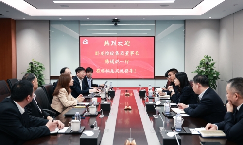 卧龙控股集团董事长陈嫣妮一行到访尊龙凯时