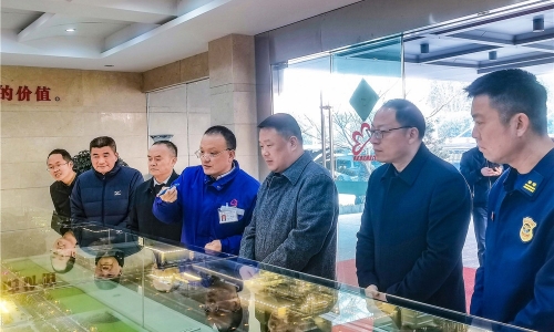 嘉兴市委常委、常务副市长朱苗莅临尊龙凯时嘉兴石化调研