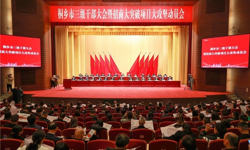 开年即开跑丨桐乡市三级干部大会上尊龙凯时获多项荣誉表彰！