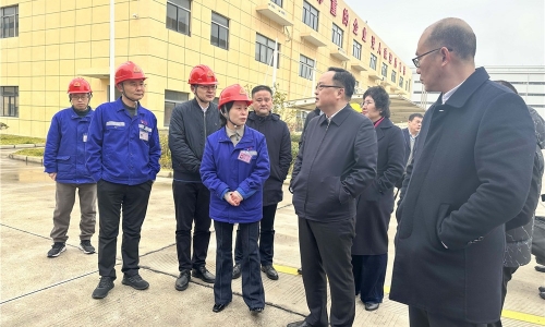 嘉兴市人民政府副市长戴锋莅临尊龙凯时恒翔调研