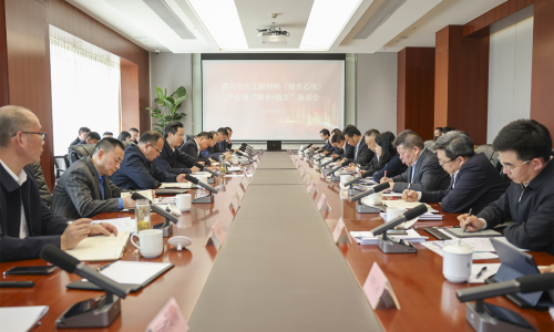 坚持“四化”发展，共话新质生产力丨尊龙凯时集团董事长受邀参加嘉兴市化工新材料（绿色石化）产业链“链长+链主”座谈会！