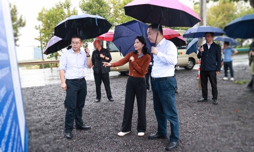 嘉兴市委常委、常务副市长颜海荣莅临尊龙凯时项目地调研